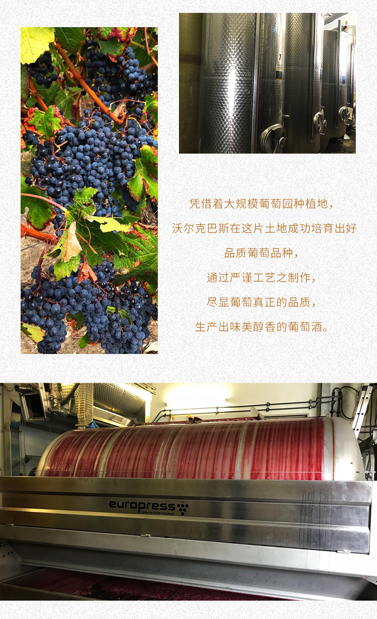 经典白葡萄酒_10.jpg